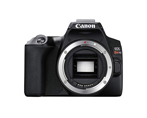 Canon EosKiss X10 REBEL SL3 デジタル一眼レフ Amazon | 海外モデル EOS Digital REBBL SL3 (日本名称 EOS Kiss